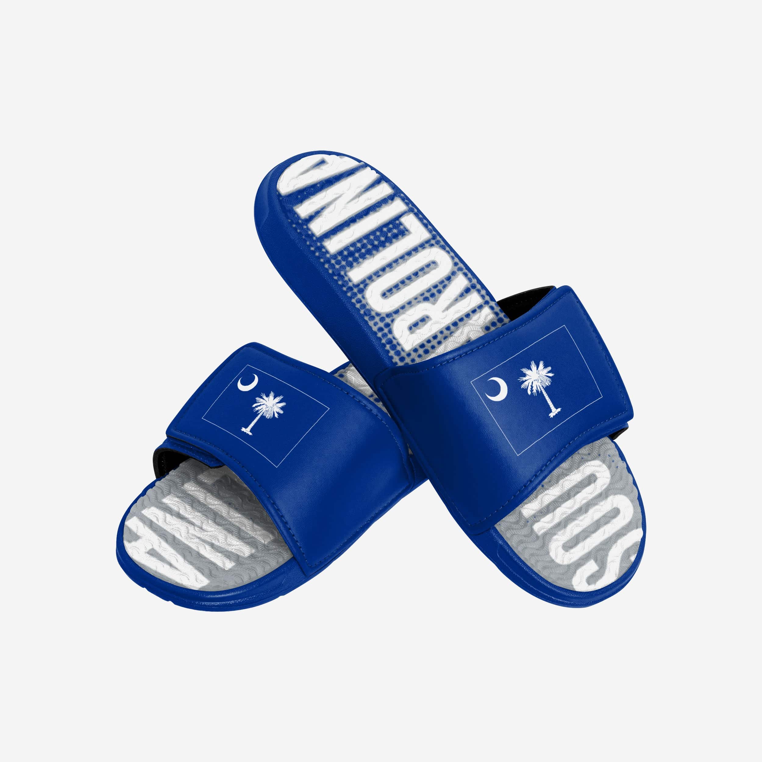 South Carolina Flag Gradient Wordmark Gel Slides: Show Your Team Pride!