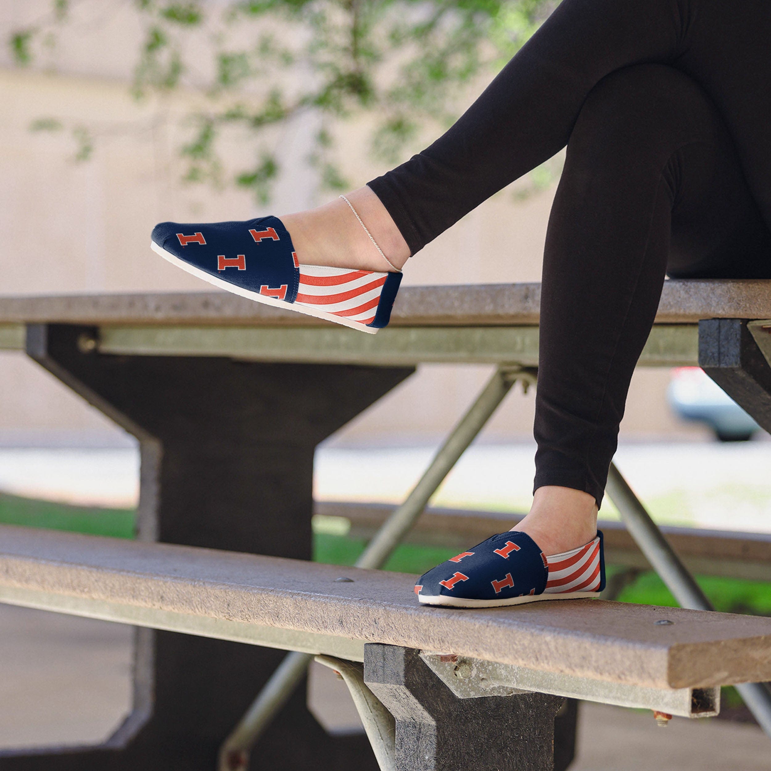 Illinois Fighting Illini Women's Stylish Stripe Canvas Shoes