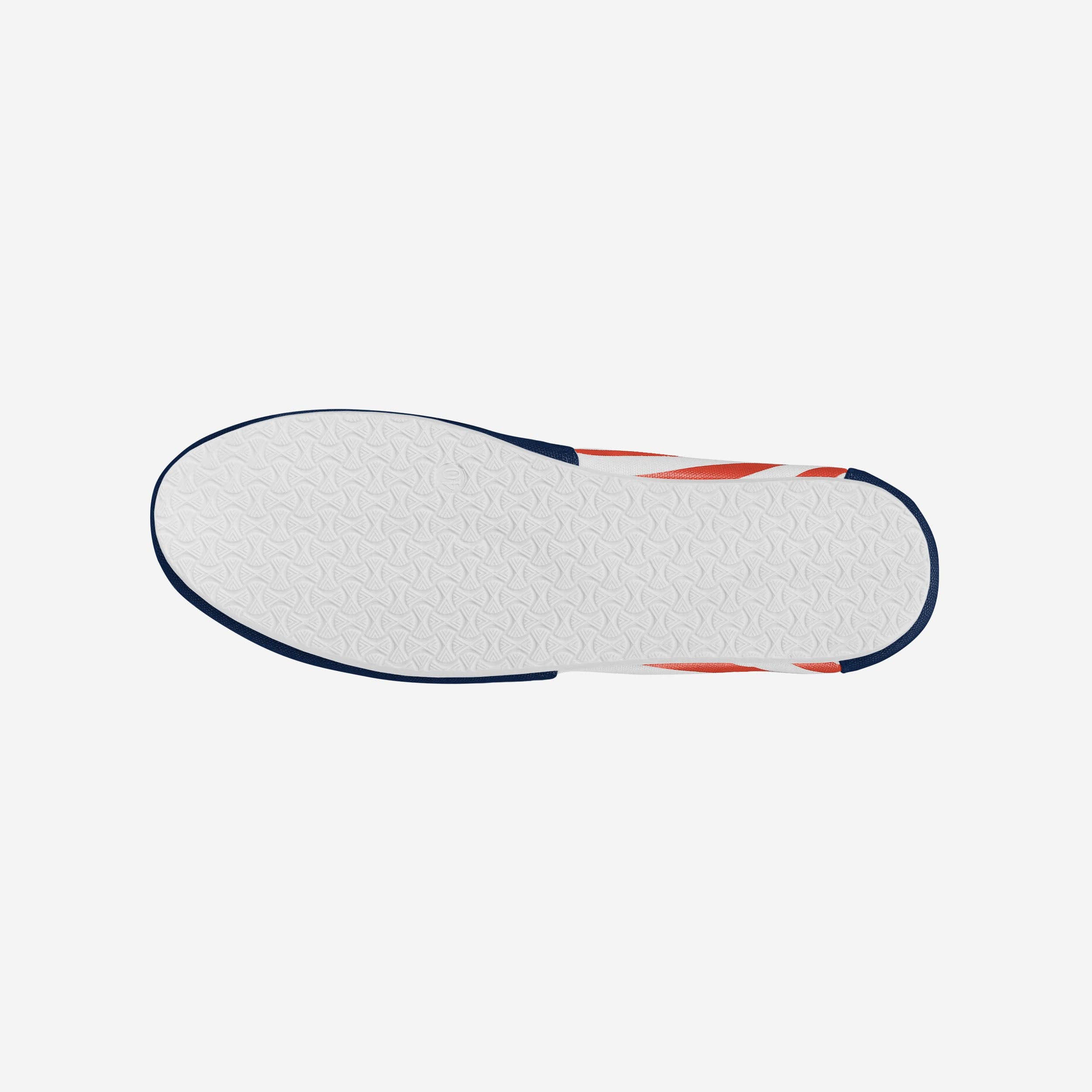 Illinois Fighting Illini Women's Stylish Stripe Canvas Shoes